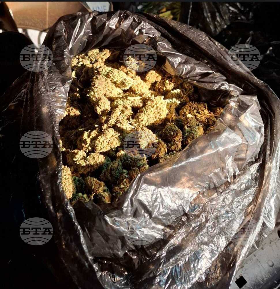 Прокуратурата в Северна Македония е във връзка с колегите си в Белград, за да установи дали иззетата в Крушевац марихуана идва от Скопие