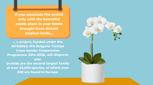 The project : “ORCHIS – Orchids researches, conservation and habitats in Strandzha”