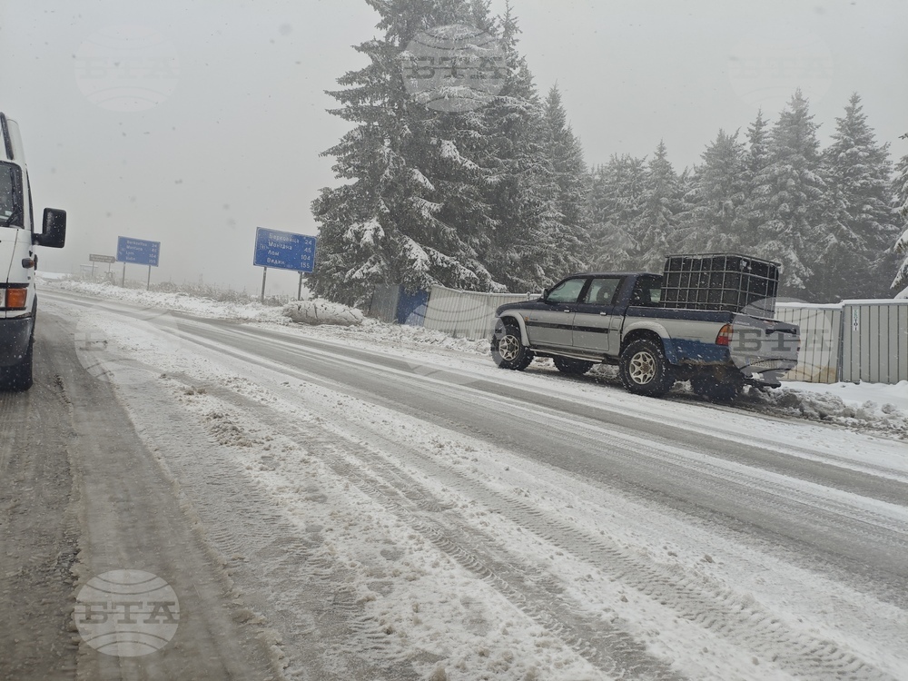 Петрохан - сняг