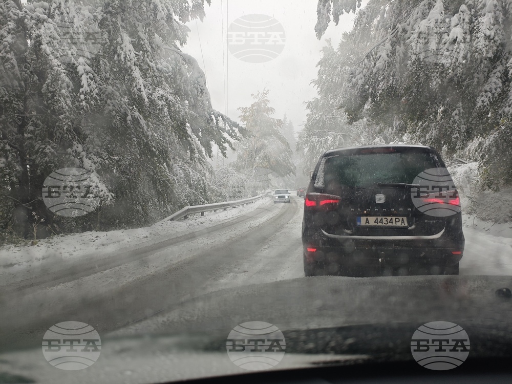 Петрохан - сняг