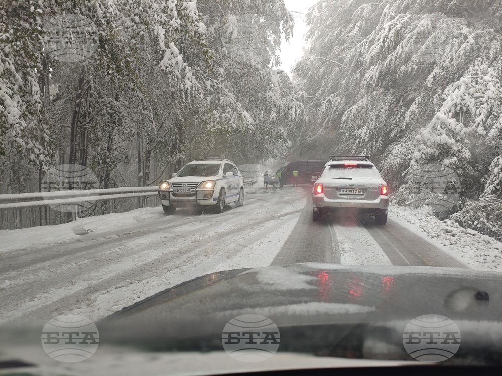 Петрохан - сняг