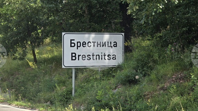 Полицията в Ябланица разследва кражба на 12 домашни животни