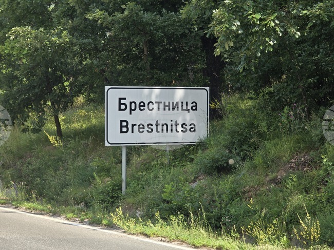 Полицията в Ябланица разследва кражба на 12 домашни животни