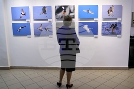 „Време за излитане“- изложба - откриване