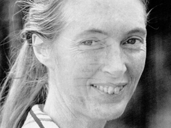 Obit Jane Goodall