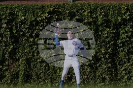 Padres Cubs Baseball