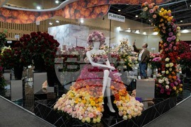 Pictures of the Week Latin America and Caribbean Photo Gallery