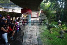 Pictures of the Week Latin America and Caribbean Photo Gallery