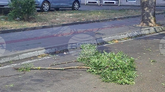 При силен вятър не стойте на открито заради опасността от падащи предмети, съветват от пожарната