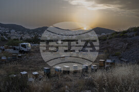 Greece Urban Beekeeping