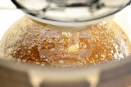 Greece Urban Beekeeping