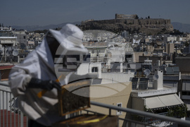 Greece Urban Beekeeping