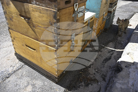 Greece Urban Beekeeping