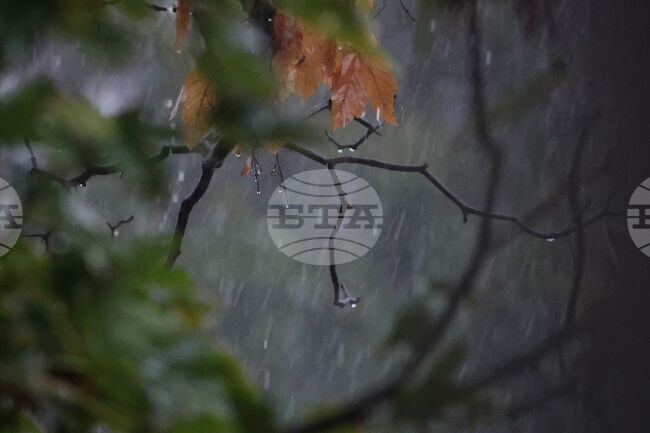 Кметът на Созопол призова жителите на общината да останат по домовете си