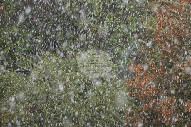 Обилни валежи и повишаване на снежната покривка във високопланинските райони на Сърбия се очакват днес 