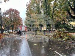 Снимка: Община Русе