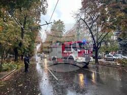 Снимка: Община Русе