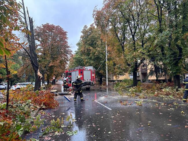 Община Русе: Екипи на общинските предприятия и Пожарната служба работят по сигнали за паднали дървета и аварии