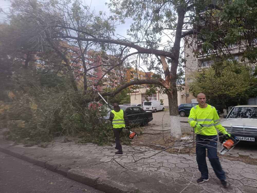 Община Сливен: Вятърът в Сливен е на пориви, до 90 километра в час