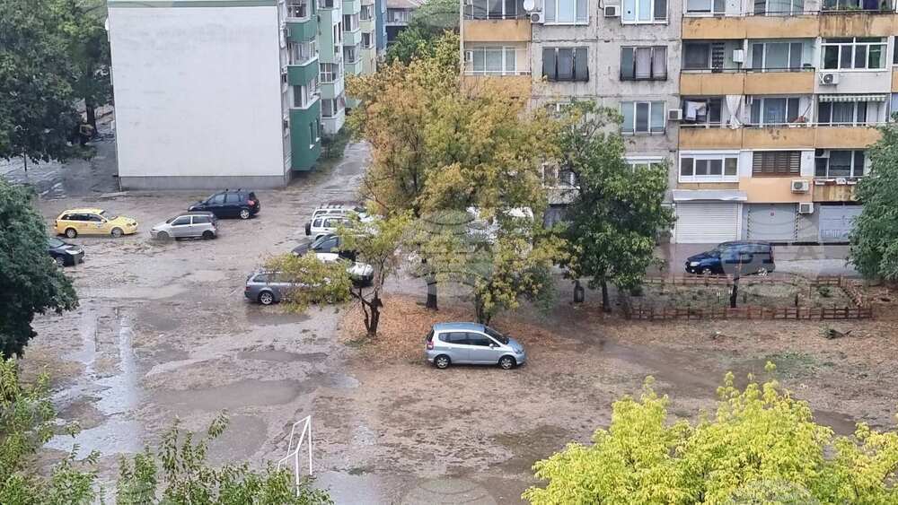 В Пловдив 12 екипа на общински предприятия отводняват улици и отстраняват паднали дървета