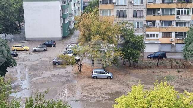 В Пловдив 12 екипа на общински предприятия отводняват улици и отстраняват паднали дървета