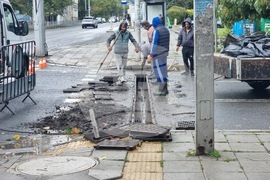Бургас - валежи - частично бедствено положение