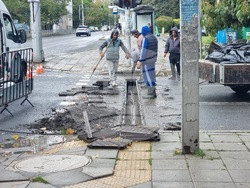 Бургас - валежи - частично бедствено положение