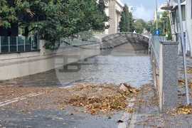Бургас - валежи - частично бедствено положение