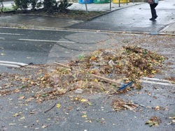 Бургас - валежи - частично бедствено положение