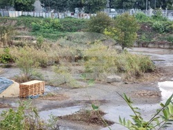 Бургас - валежи - частично бедствено положение