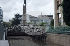 Бургас - валежи - частично бедствено положение