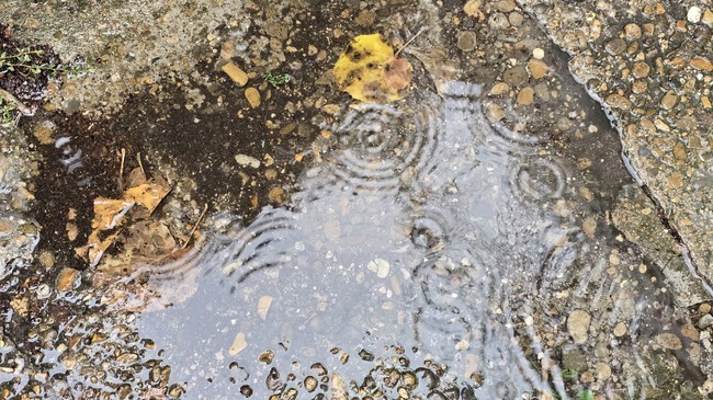 Екип на Аварийно звено-Петрич и служители на общината почистват основните пътни артерии в Петрич от наноси