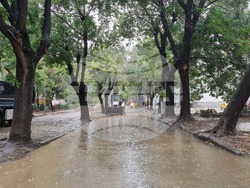 Пловдив - дъжд - улици