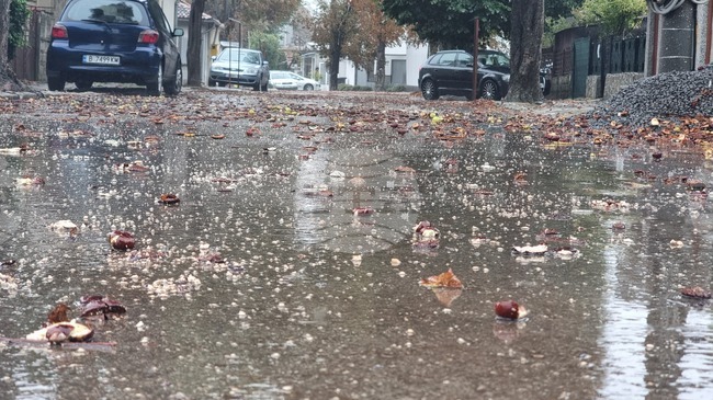 Прогноза за времето