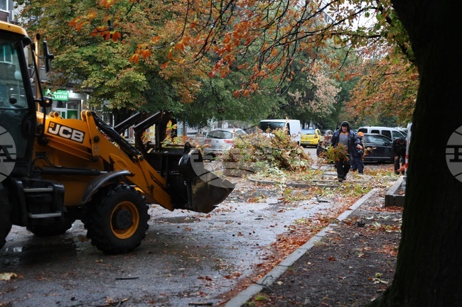Бурен вятър събори множество дървета и клони в Руснеско и затрудни движението по пътища