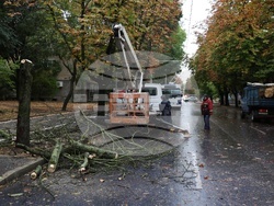 Русе - силен вятър - обстановка