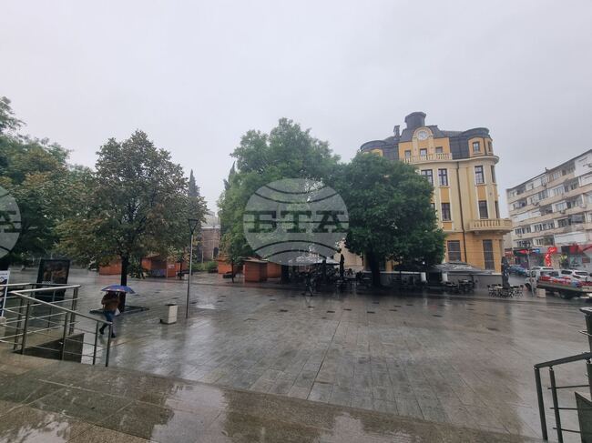 Четири дървета са паднали в Стара Загора