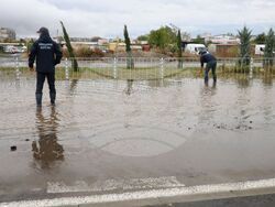 Бургас - улица „Одрин" - обстановка