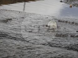 Бургас - улица „Одрин" - обстановка