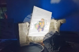 Станислав Трифонов - Насимо - изложба - НДК