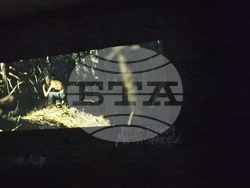 Станислав Трифонов - Насимо - изложба - НДК