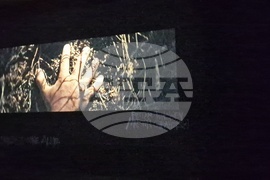 Станислав Трифонов - Насимо - изложба - НДК