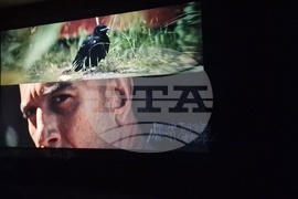 Станислав Трифонов - Насимо - изложба - НДК