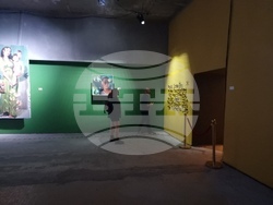 Станислав Трифонов - Насимо - изложба - НДК