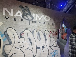 Станислав Трифонов - Насимо - изложба - НДК