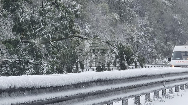 Въвеждат се ограничения за автомобили над 12 тона на магистрала „Хемус“ в областите София и Ловеч поради силен снеговалеж и почистване