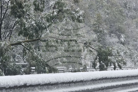 Автомагистрала „Хемус“ - снеговалеж 