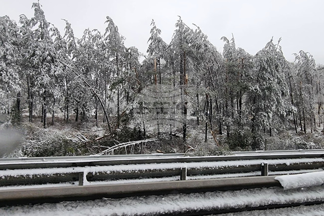 Глоби ще бъдат наложени на пътноподдържащите фирми, включително и на държавната „Автомагистрали“, каза Иван Иванов