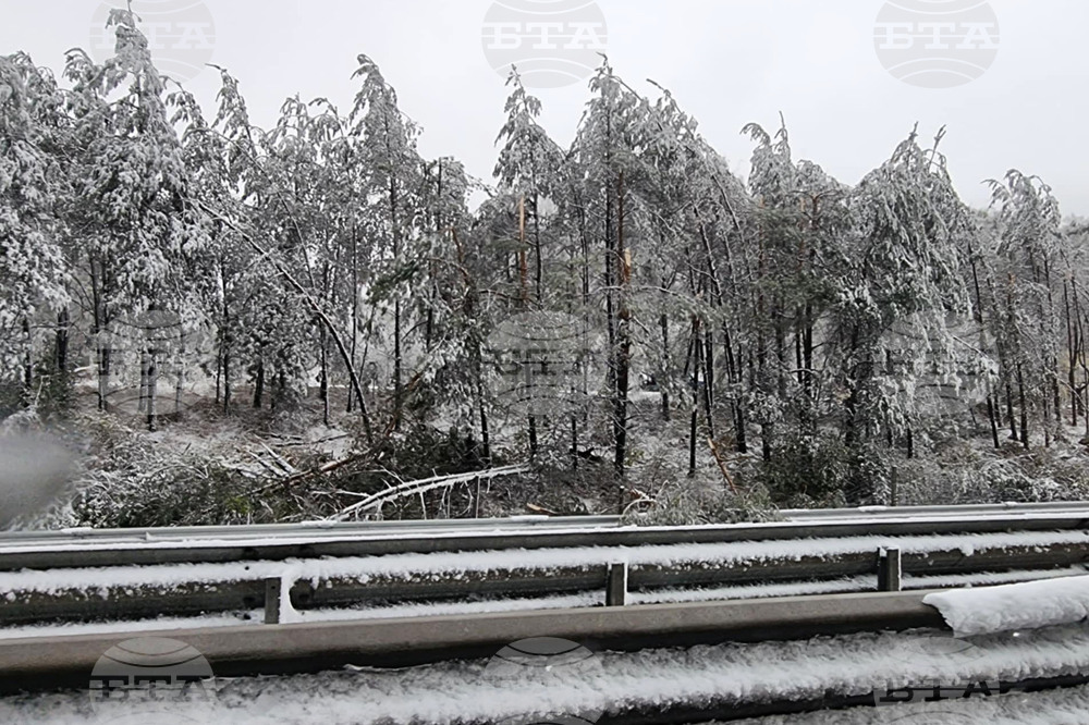 Автомагистрала „Хемус“ - снеговалеж 