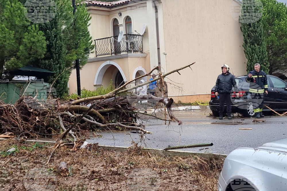 Ваканционно селище „Елените“ - обстановка - евакуация